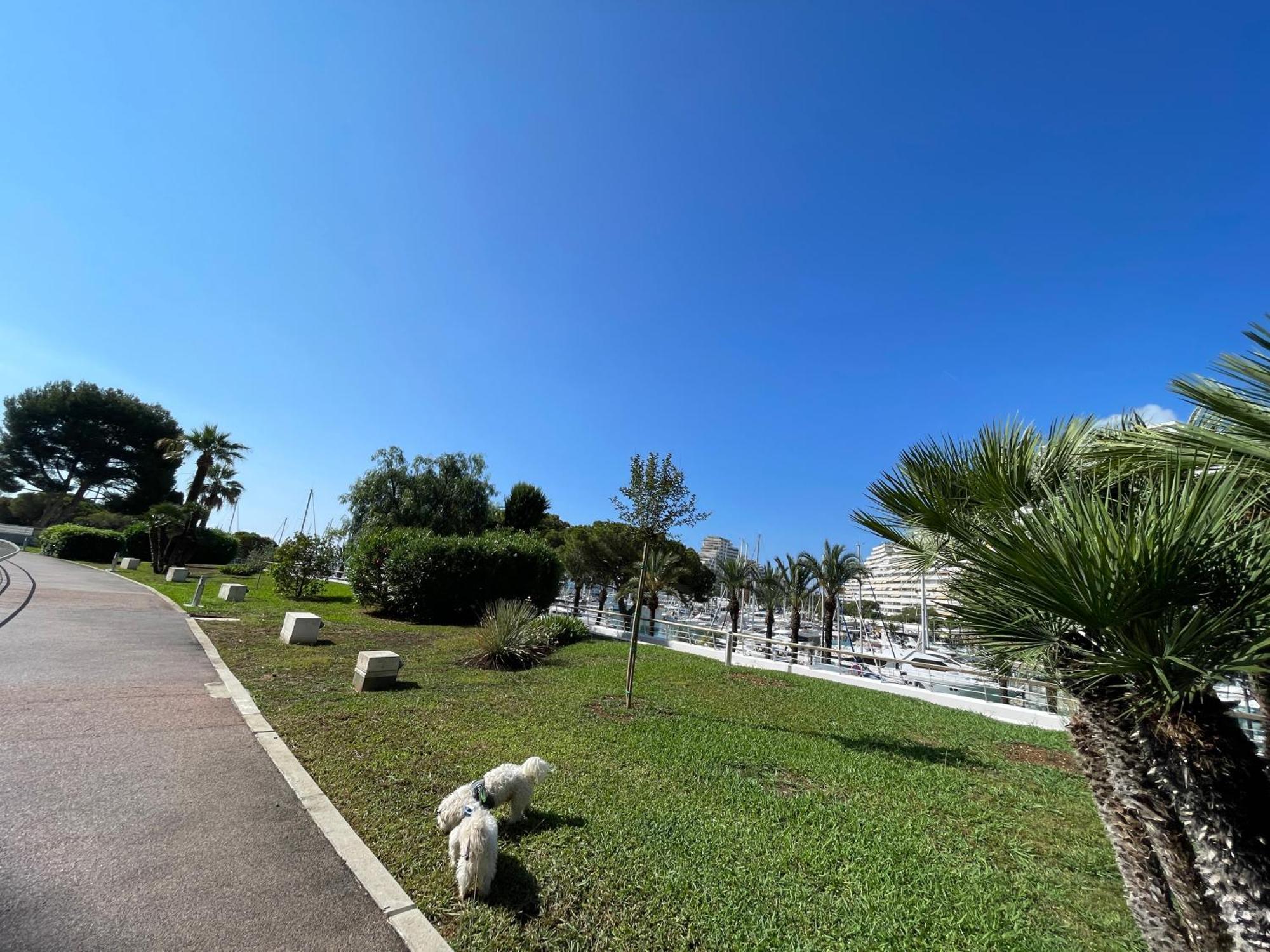 Studio A 2 Pas De La Plage Villeneuve-Loubet Dış mekan fotoğraf